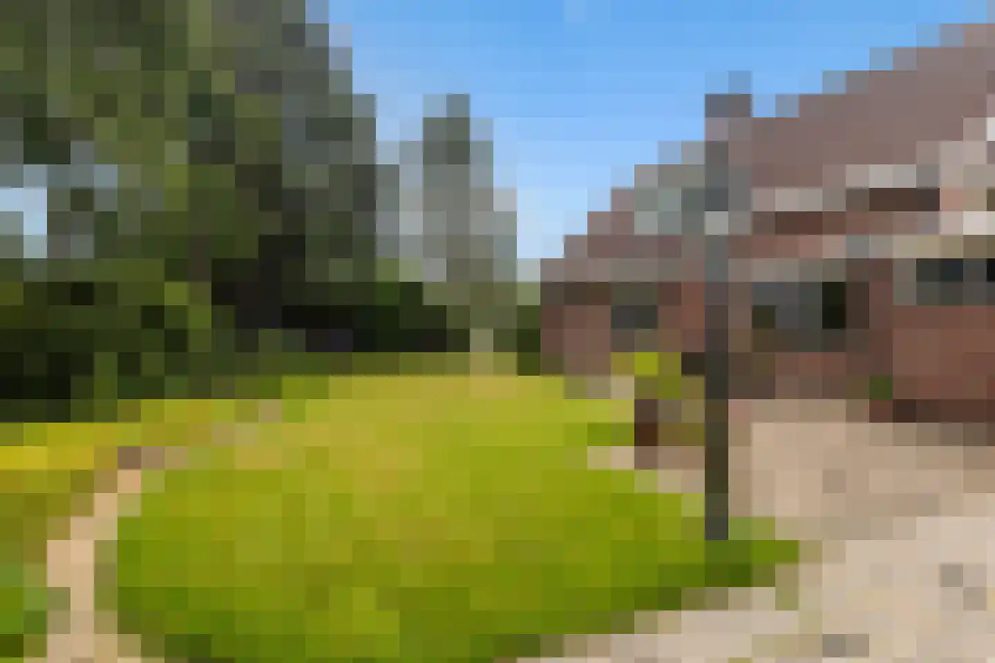 Van Aernsmastrjitte 31 Damwâld thumbnail 45