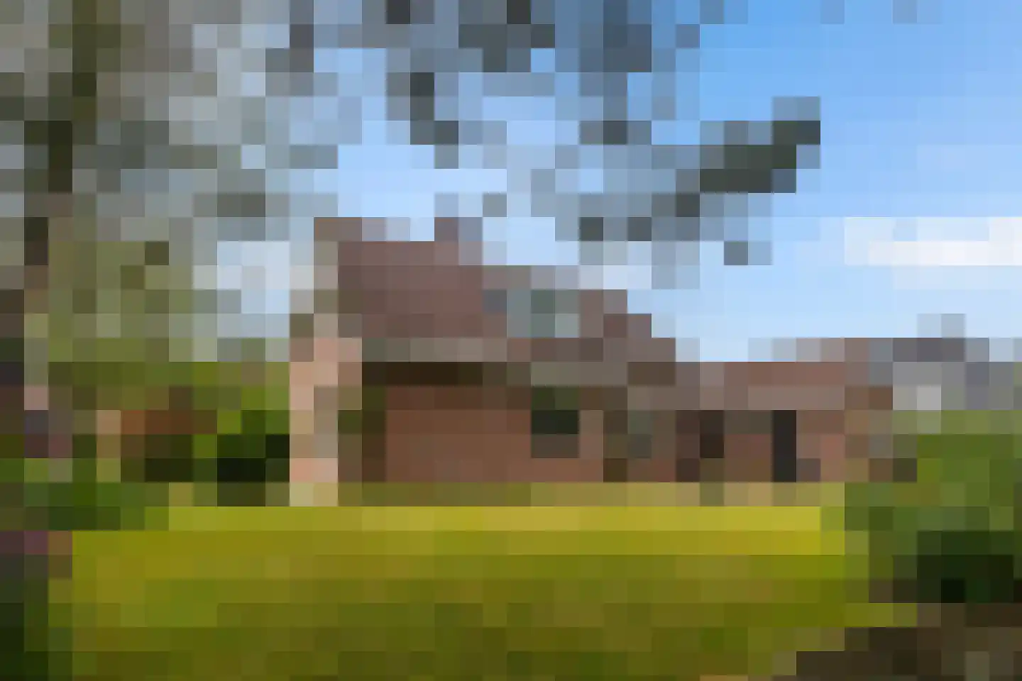 Van Aernsmastrjitte 31 Damwâld thumbnail 47