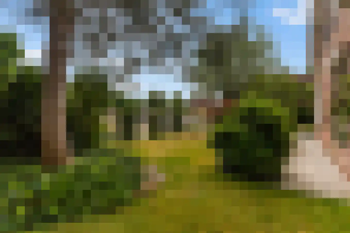 Van Aernsmastrjitte 31 Damwâld thumbnail 48