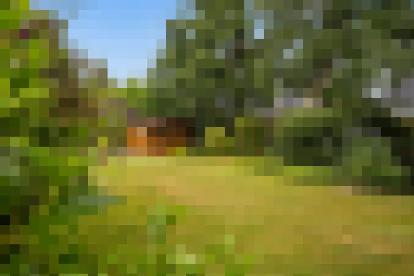 Van Aernsmastrjitte 31 Damwâld thumbnail 49