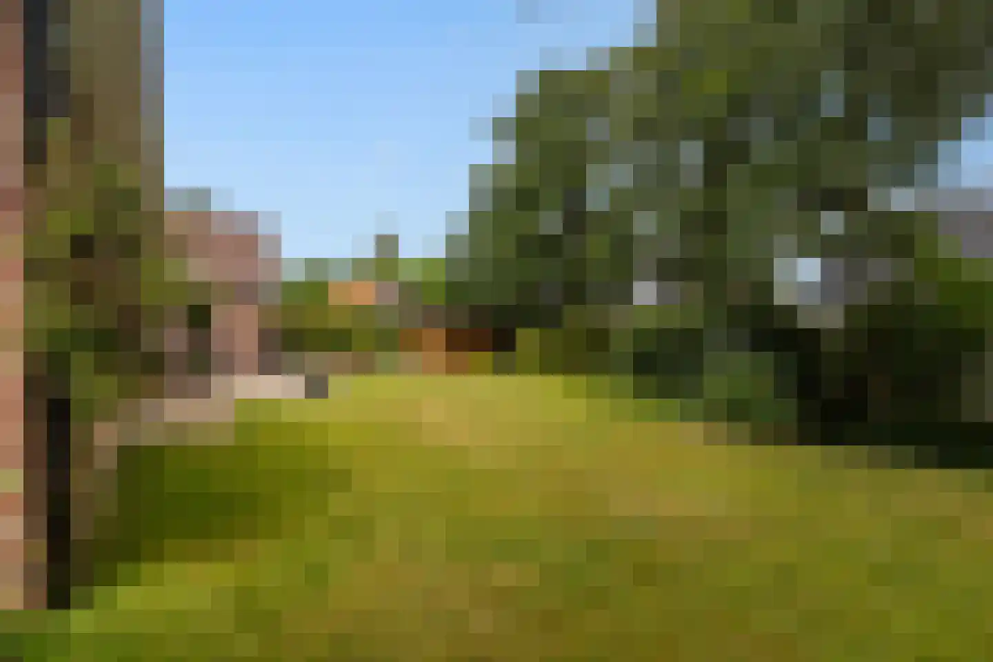 Van Aernsmastrjitte 31 Damwâld thumbnail 50