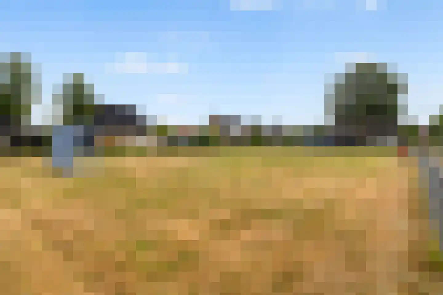 Van Aernsmastrjitte 31 Damwâld thumbnail 51