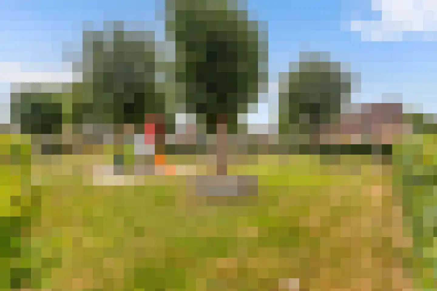 Van Aernsmastrjitte 31 Damwâld thumbnail 52