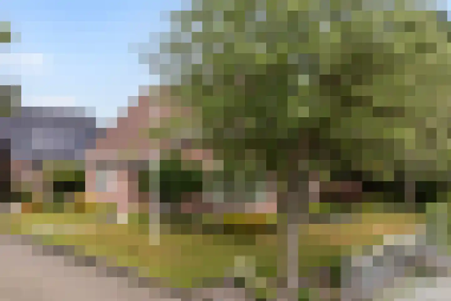 Van Aernsmastrjitte 31 Damwâld thumbnail 6