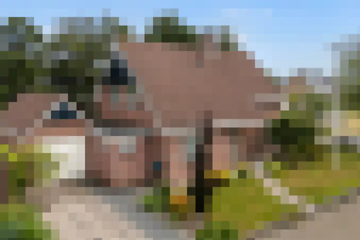 Van Aernsmastrjitte 31 Damwâld thumbnail 7