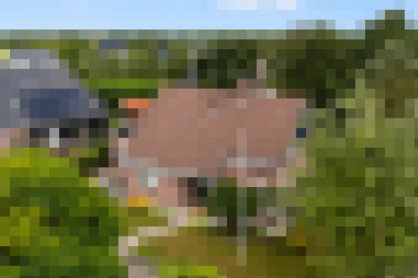 Van Aernsmastrjitte 31 Damwâld thumbnail 8