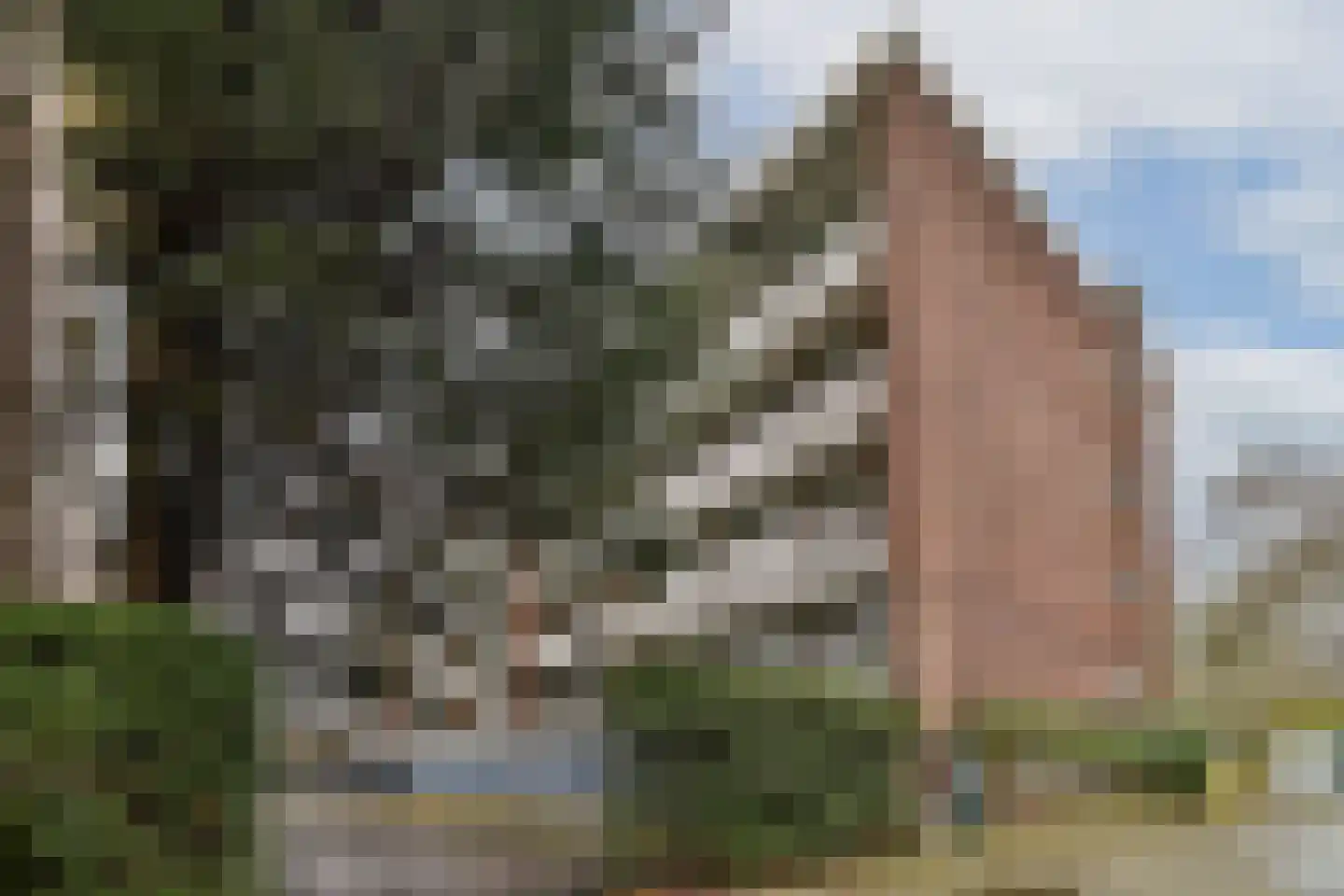 Van Aerssenlaan 36 C Rotterdam thumbnail 32