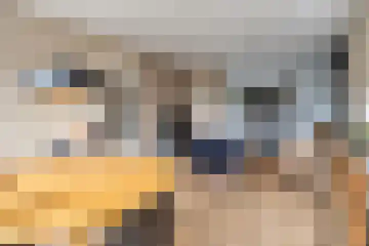 Van Aerssenlaan 40 D Rotterdam thumbnail 11