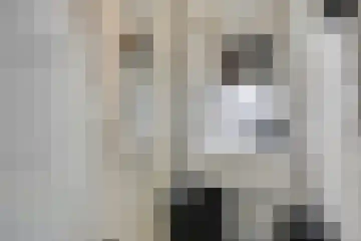 Van Aerssenlaan 40 D Rotterdam thumbnail 17