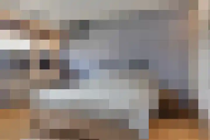 Van Aerssenlaan 40 D Rotterdam thumbnail 20