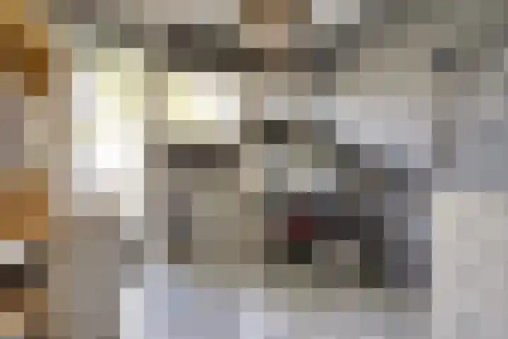 Van Aerssenlaan 40 D Rotterdam thumbnail 22