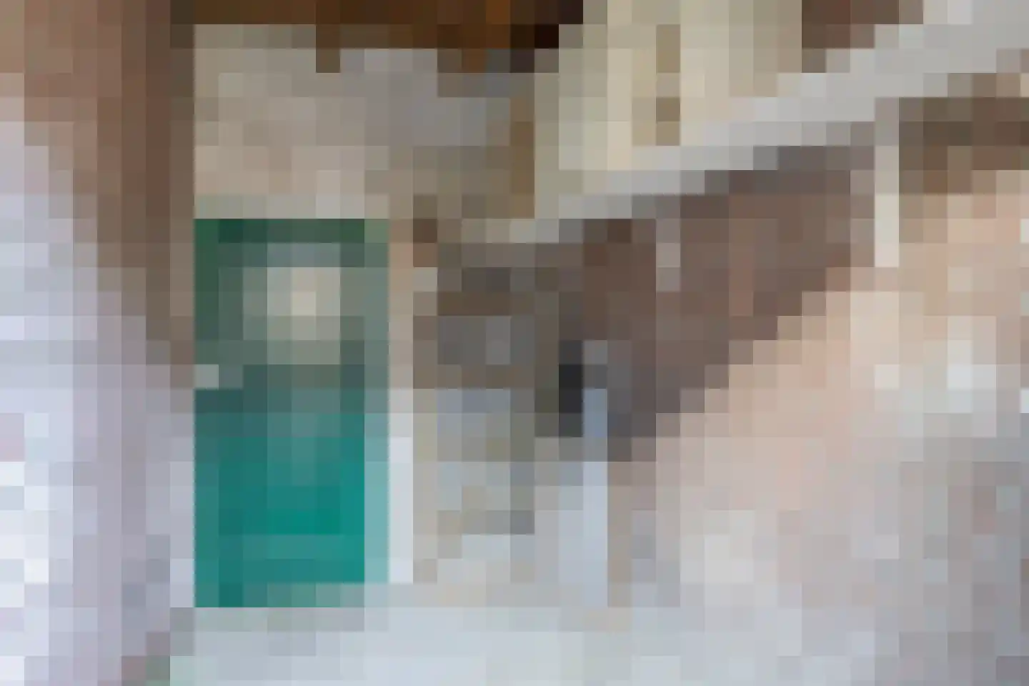 van Aerssenstraat 16 Sommelsdijk thumbnail 29