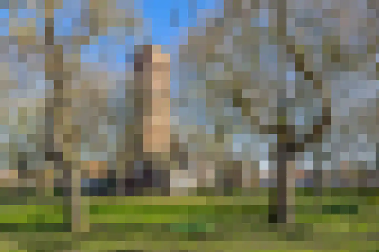 van Aerssenstraat 16 Sommelsdijk thumbnail 30