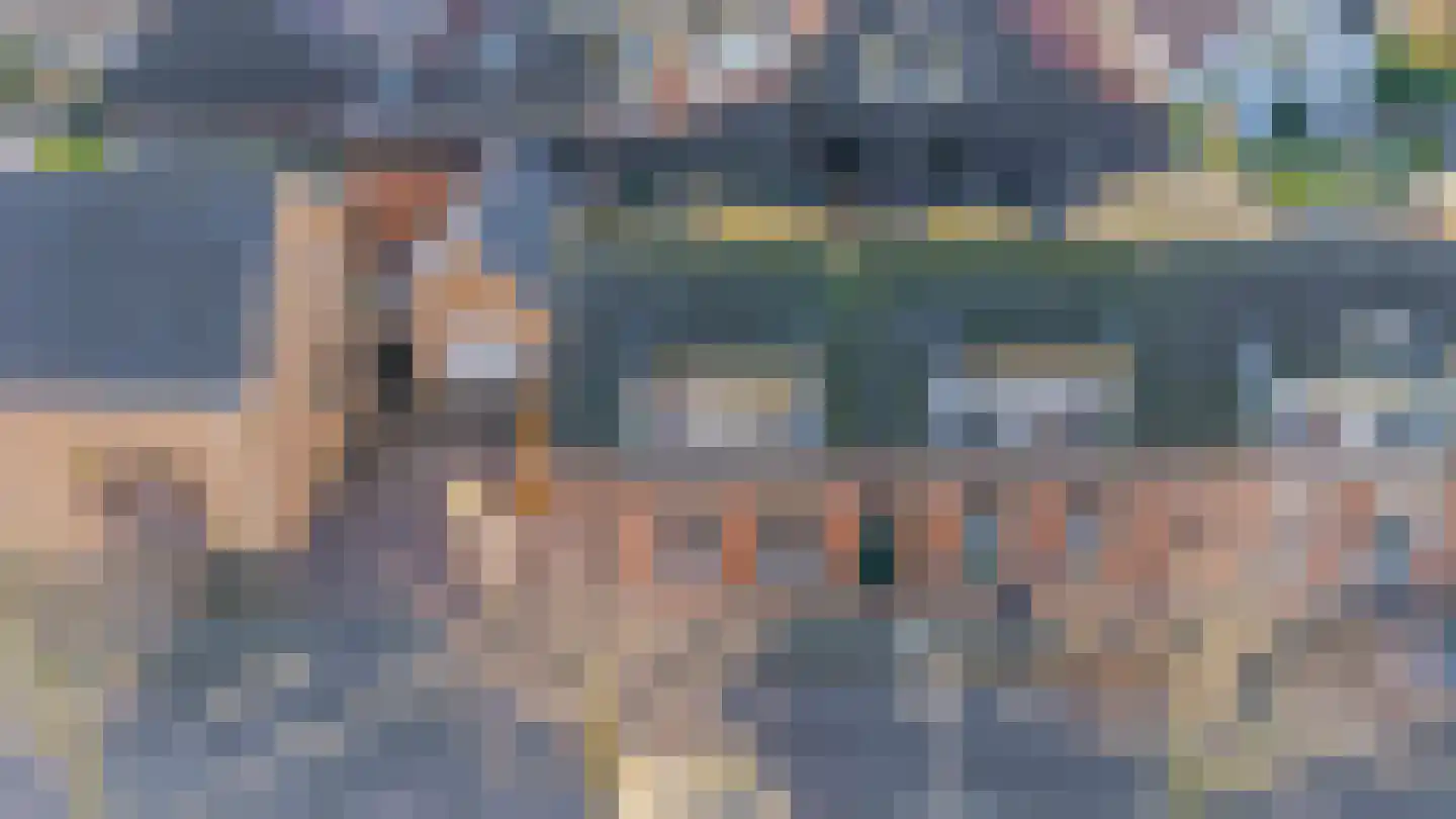 van Aerssenstraat 16 Sommelsdijk thumbnail 33