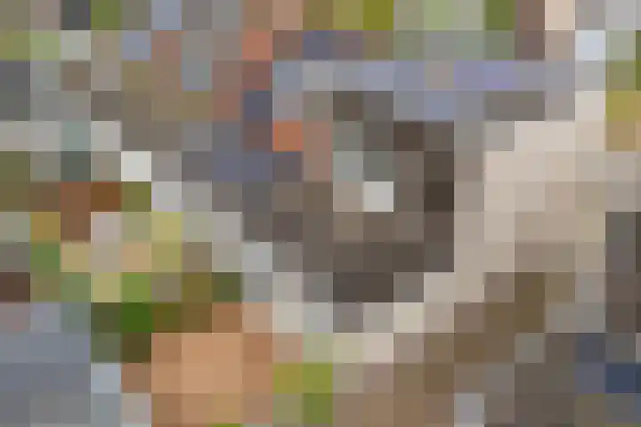 Van Aerssenstraat 200 in Den Haag