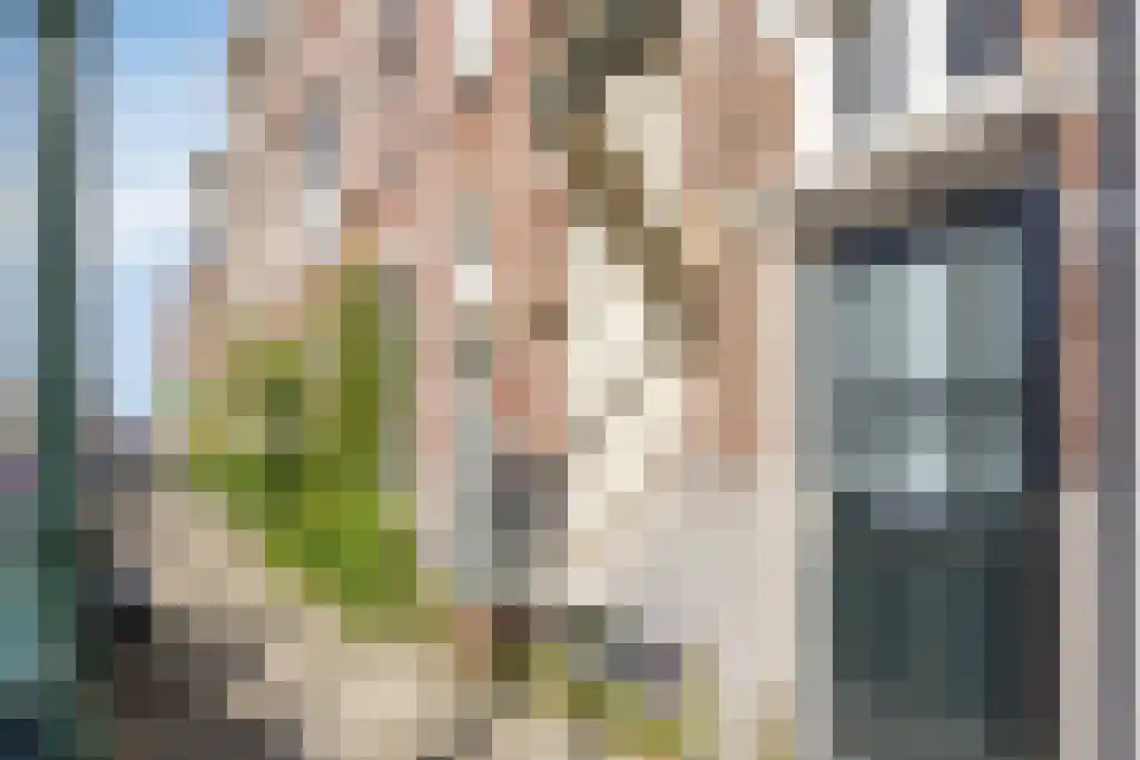 Van Aerssenstraat 218 Den Haag thumbnail 6