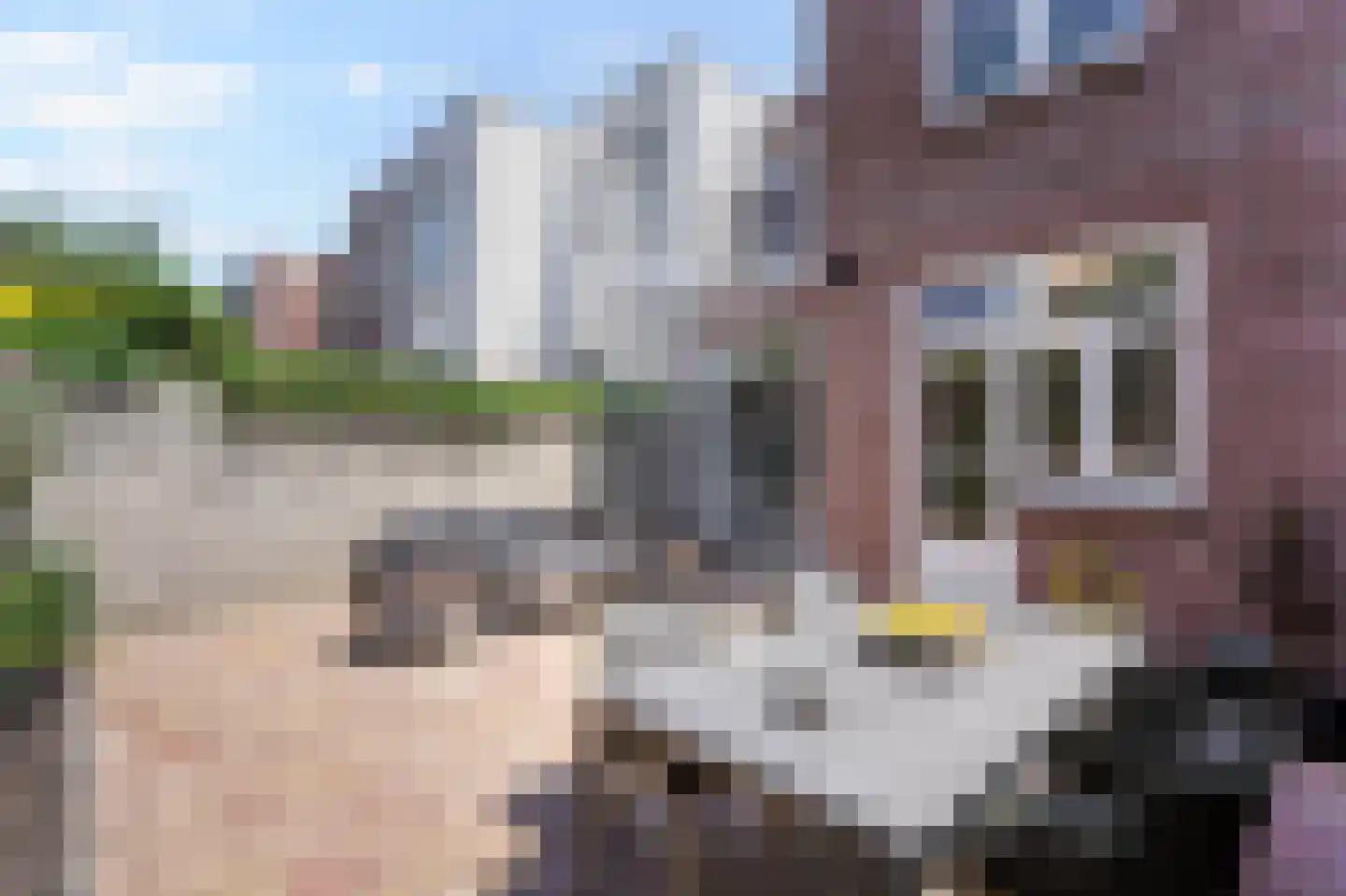 Van Aerssenstraat 31 A Den Haag thumbnail 24