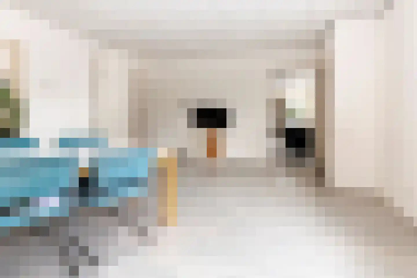 van Aerssenstraat 37 Sommelsdijk thumbnail 6