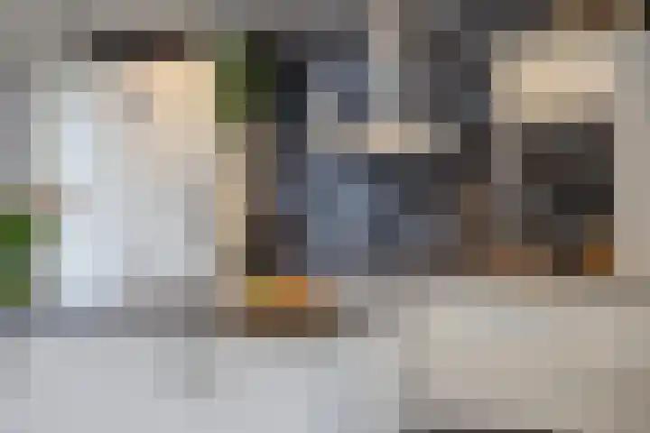 Van Aerthof 1 Etten-Leur thumbnail 10