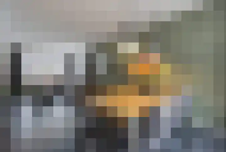 Van Aerthof 1 Etten-Leur thumbnail 11