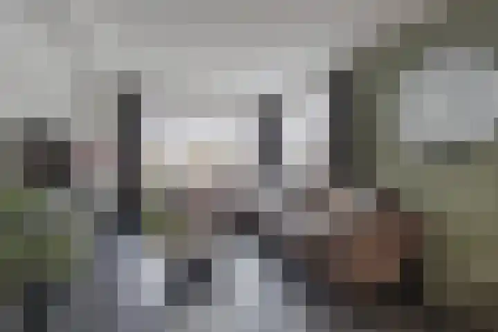 Van Aerthof 1 Etten-Leur thumbnail 12