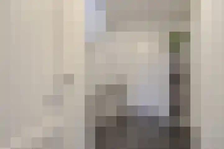 Van Aerthof 1 Etten-Leur thumbnail 18