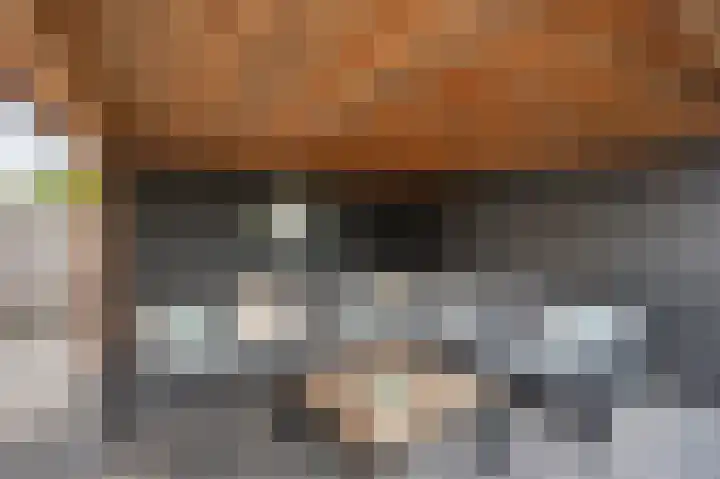 Van Aerthof 1 Etten-Leur thumbnail 36