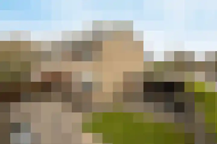 Van Aerthof 1 Etten-Leur thumbnail 37