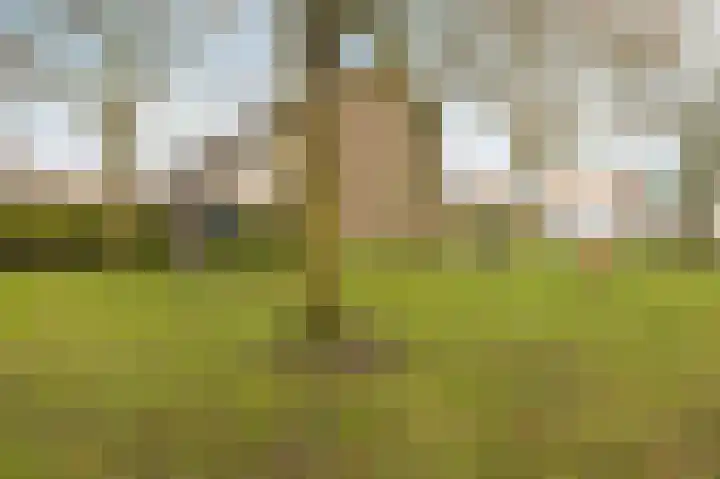 Van Aerthof 1 Etten-Leur thumbnail 43