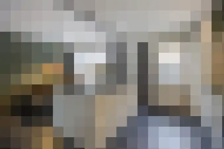 Van Aerthof 1 Etten-Leur thumbnail 7