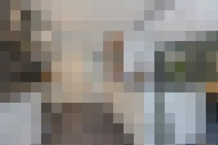 Van Aerthof 1 Etten-Leur thumbnail 8