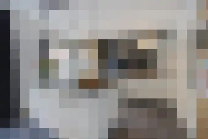 Van Aerthof 1 Etten-Leur thumbnail 9