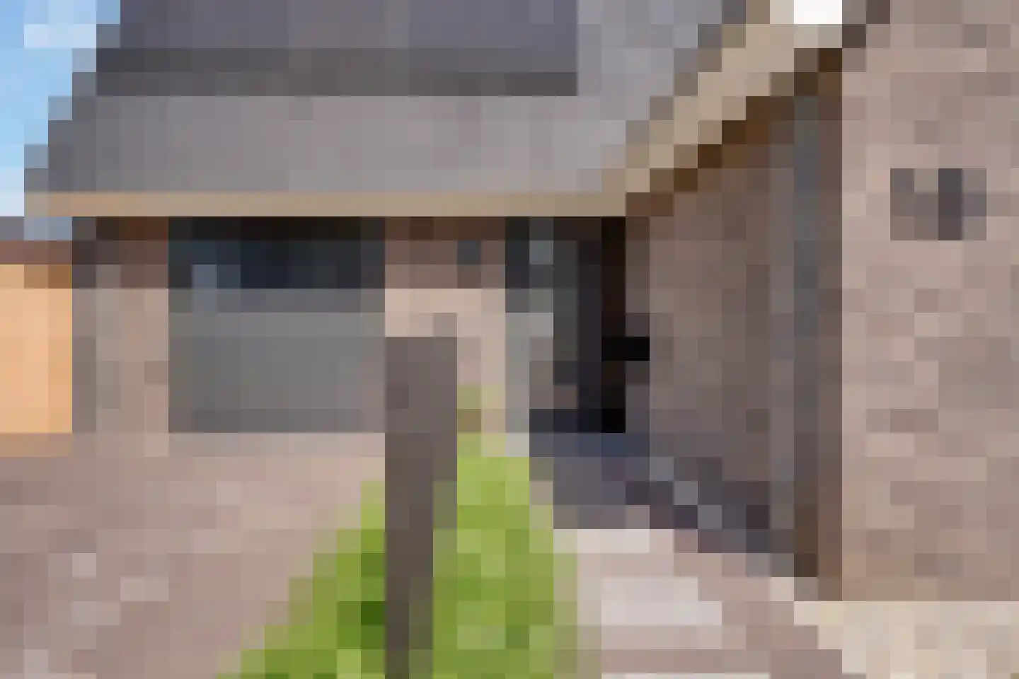 Van Aeswijnstraat 15 Gramsbergen thumbnail 10