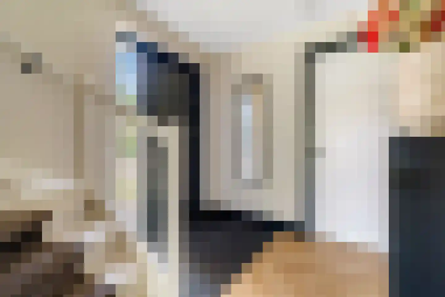 Van Aeswijnstraat 15 Gramsbergen thumbnail 11