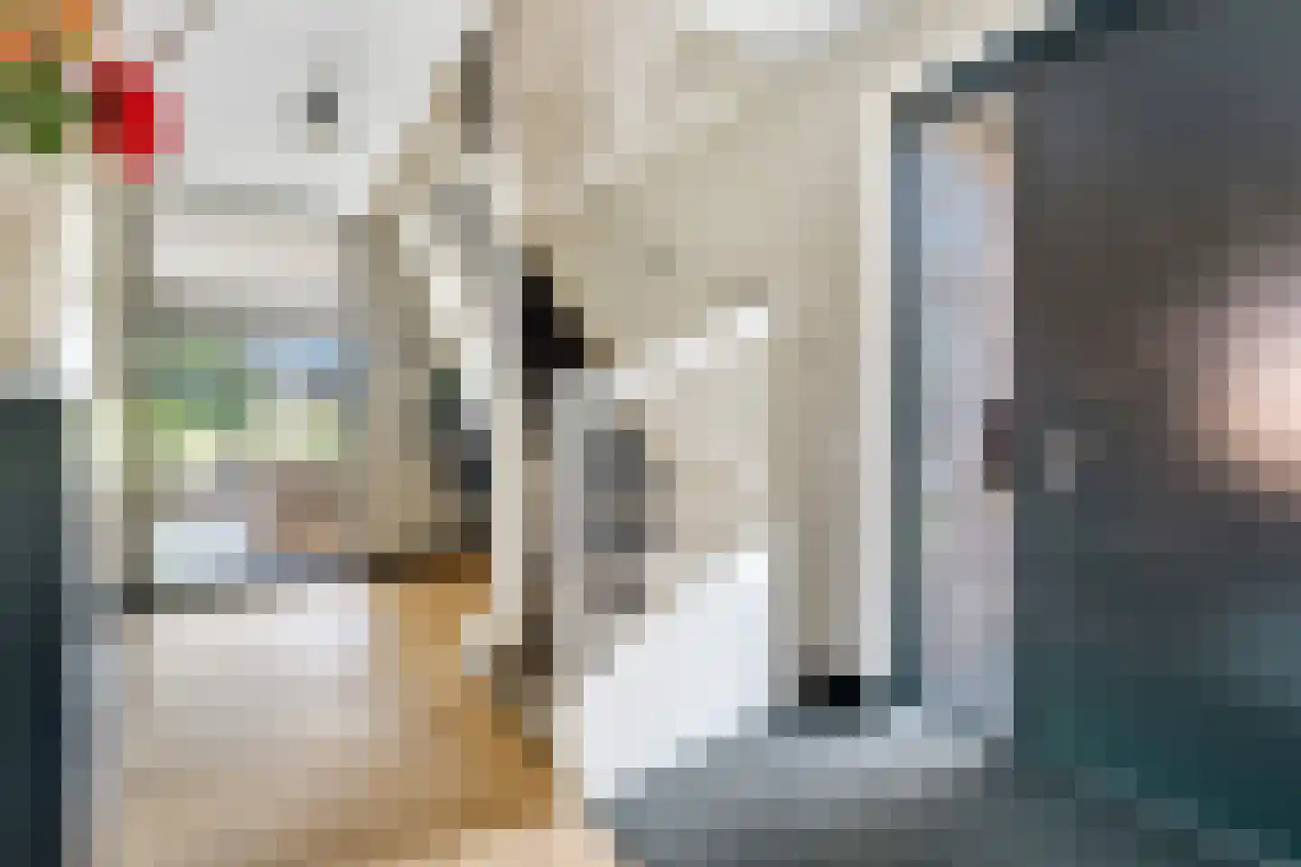 Van Aeswijnstraat 15 Gramsbergen thumbnail 12