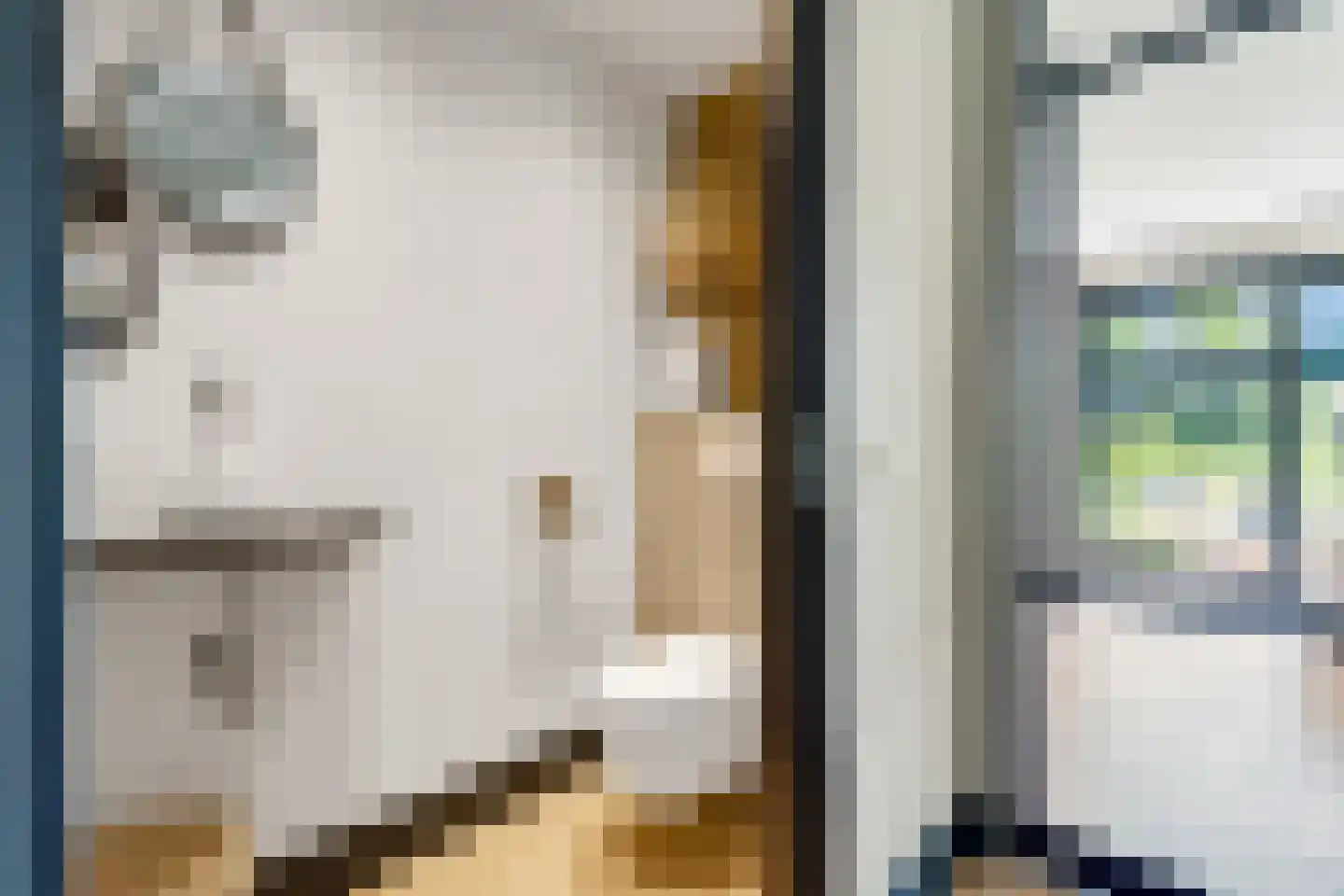 Van Aeswijnstraat 15 Gramsbergen thumbnail 14