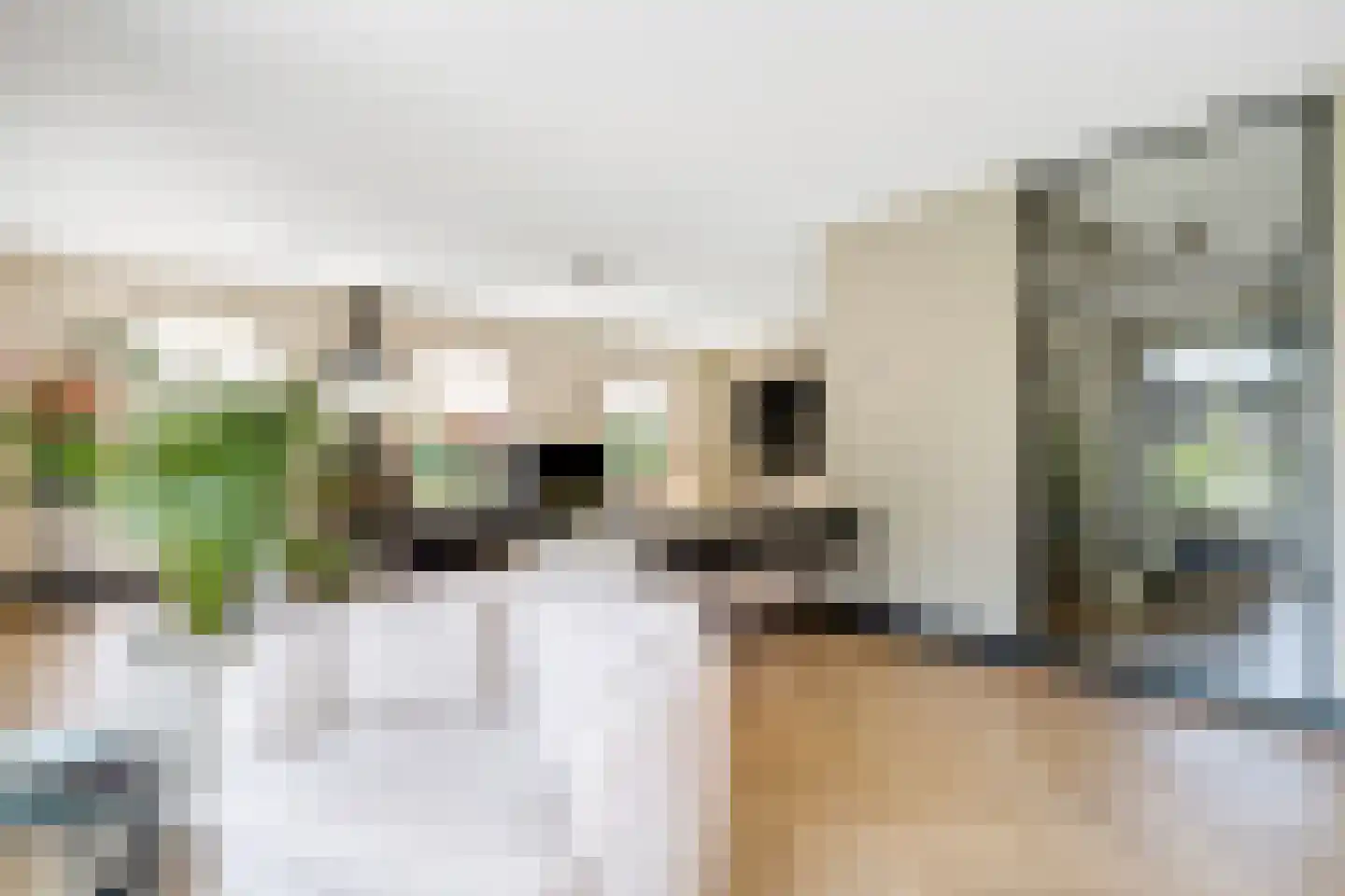 Van Aeswijnstraat 15 Gramsbergen thumbnail 15