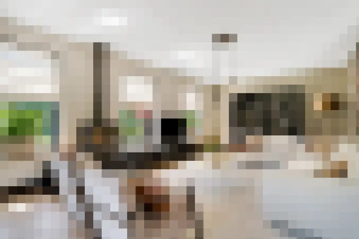 Van Aeswijnstraat 15 Gramsbergen thumbnail 19