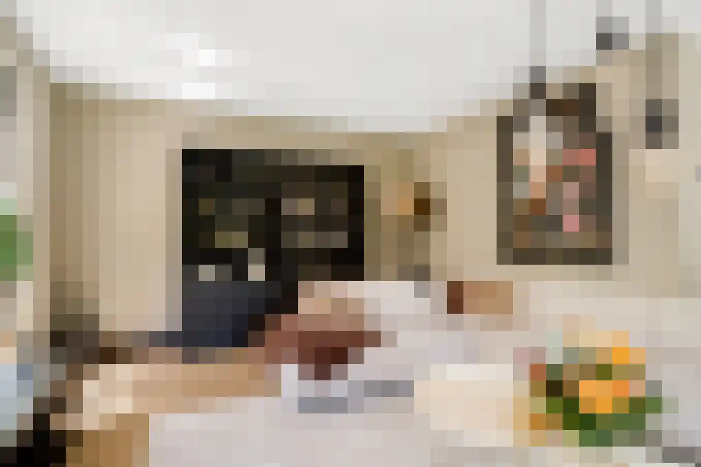 Van Aeswijnstraat 15 Gramsbergen thumbnail 20