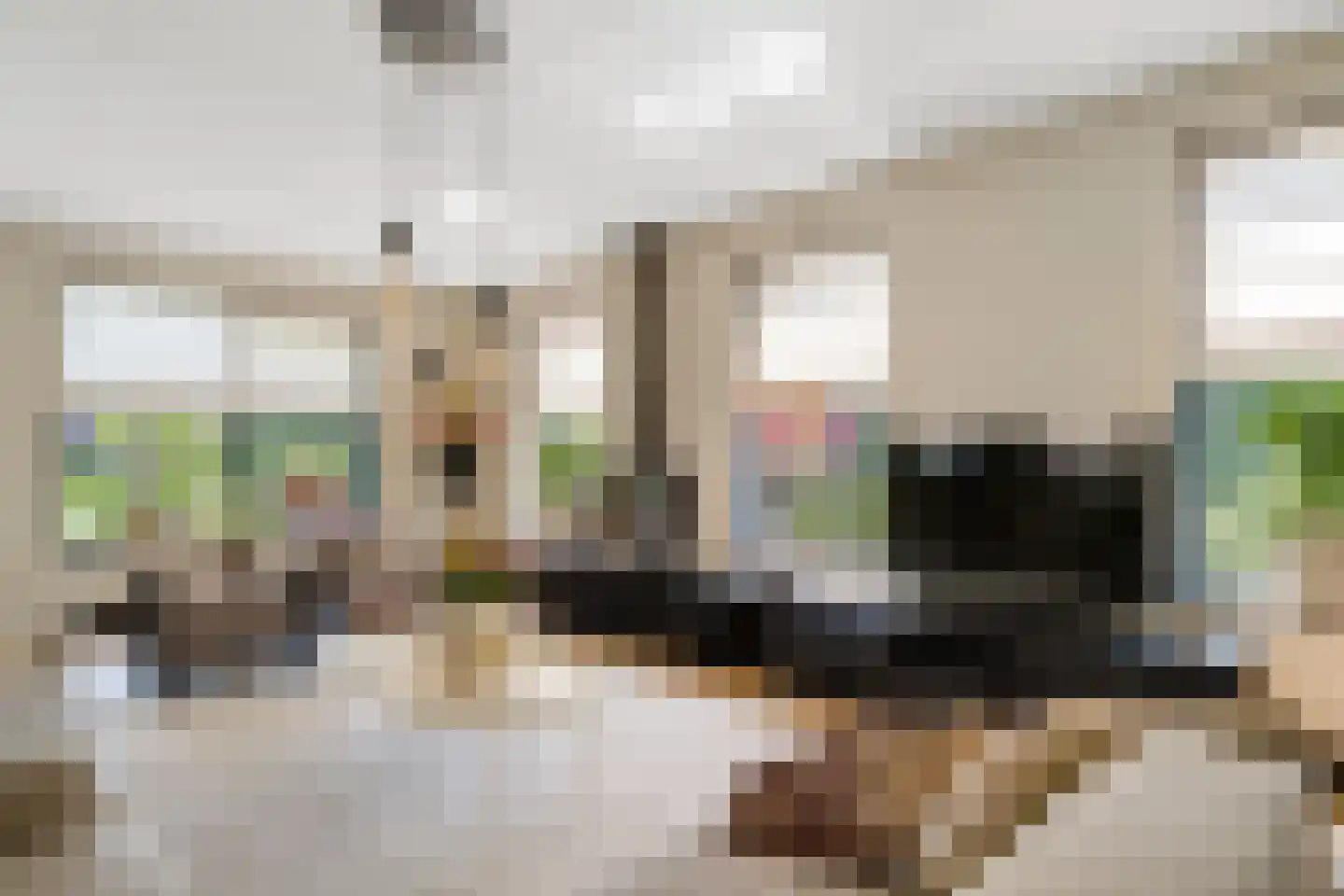 Van Aeswijnstraat 15 Gramsbergen thumbnail 22