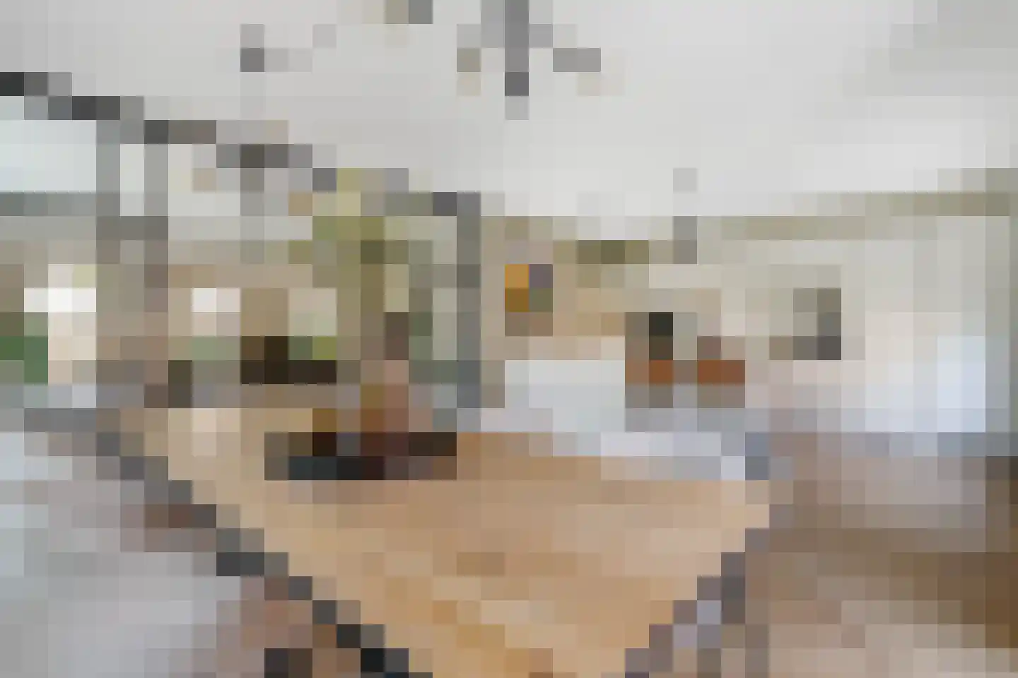 Van Aeswijnstraat 15 Gramsbergen thumbnail 25