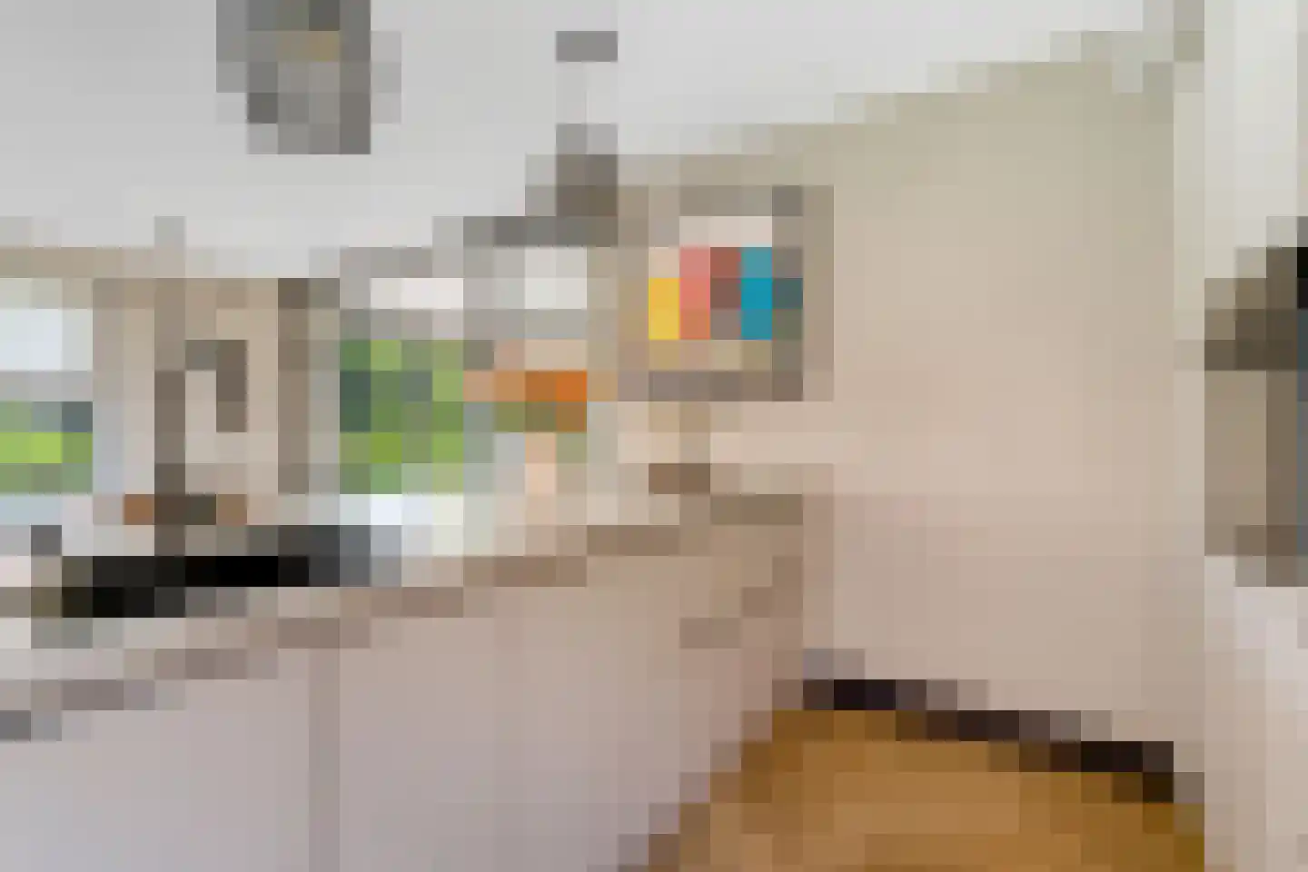 Van Aeswijnstraat 15 Gramsbergen thumbnail 27