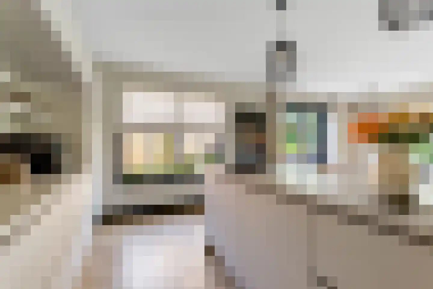 Van Aeswijnstraat 15 Gramsbergen thumbnail 28