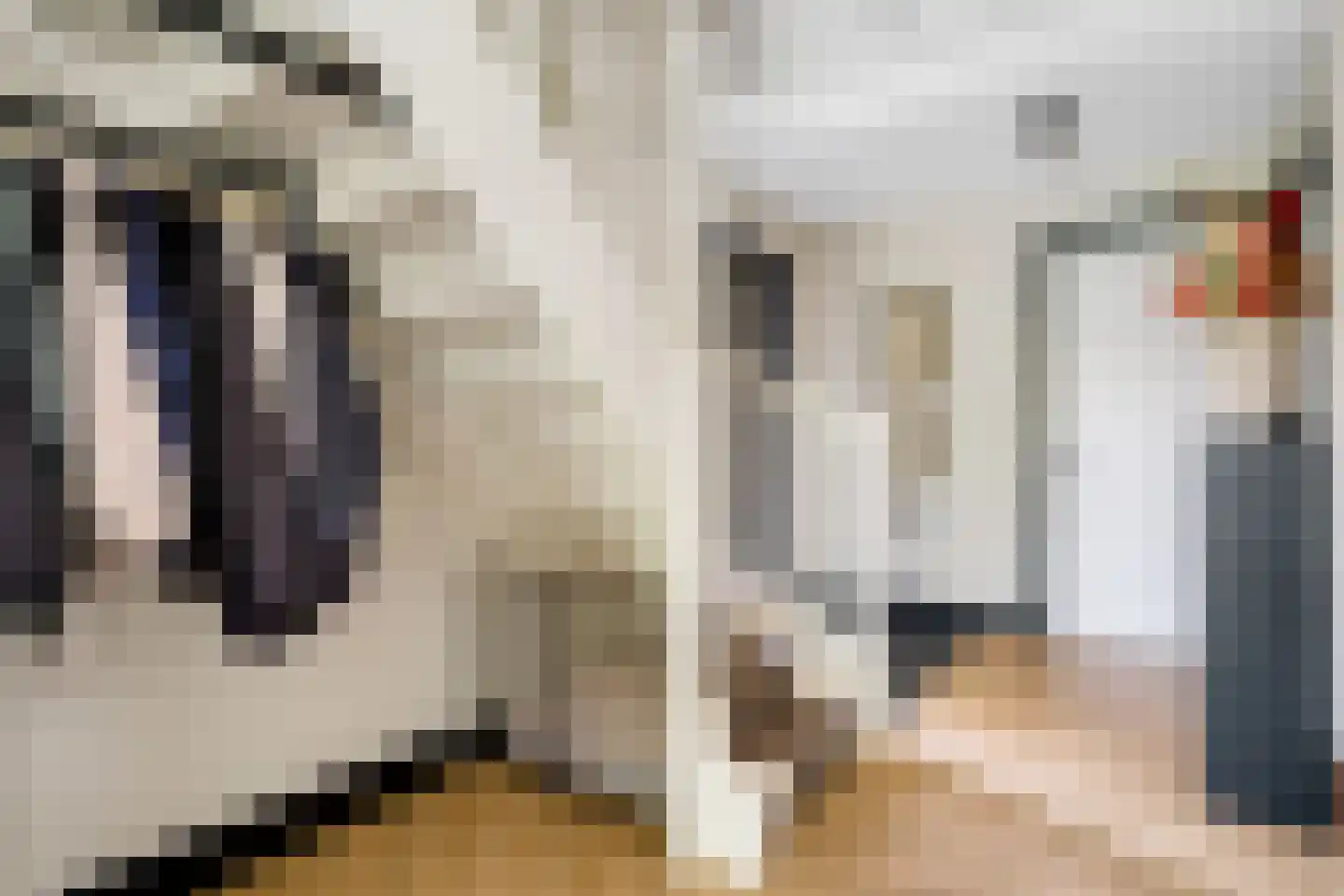 Van Aeswijnstraat 15 Gramsbergen thumbnail 29