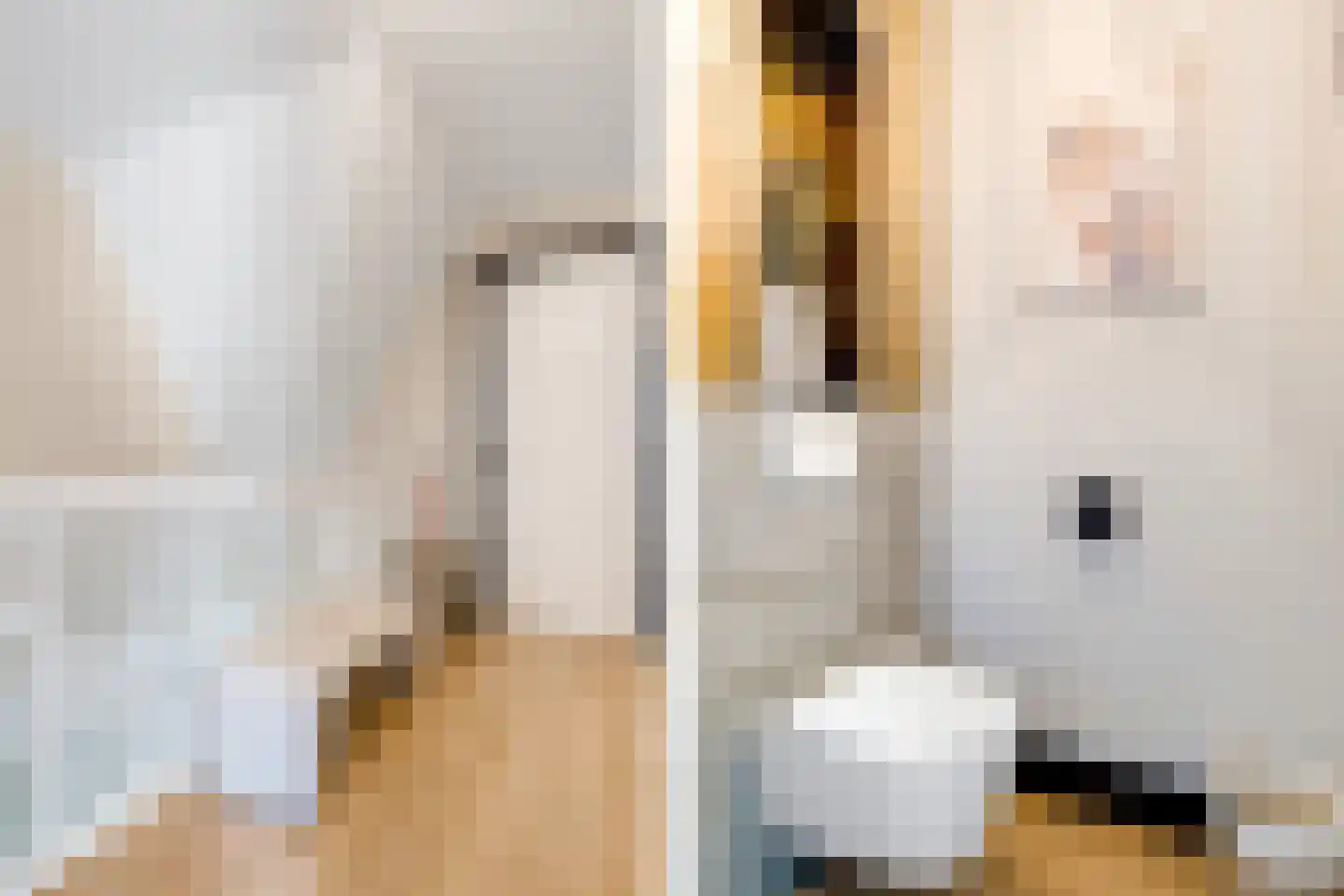 Van Aeswijnstraat 15 Gramsbergen thumbnail 31