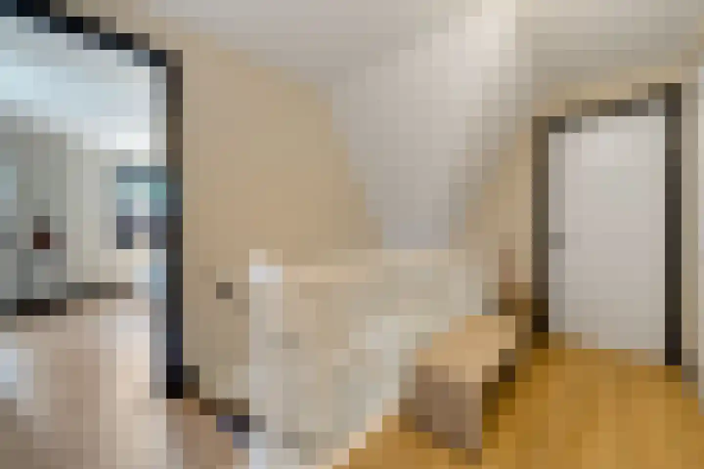 Van Aeswijnstraat 15 Gramsbergen thumbnail 32