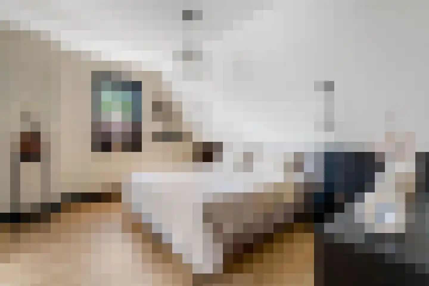 Van Aeswijnstraat 15 Gramsbergen thumbnail 33