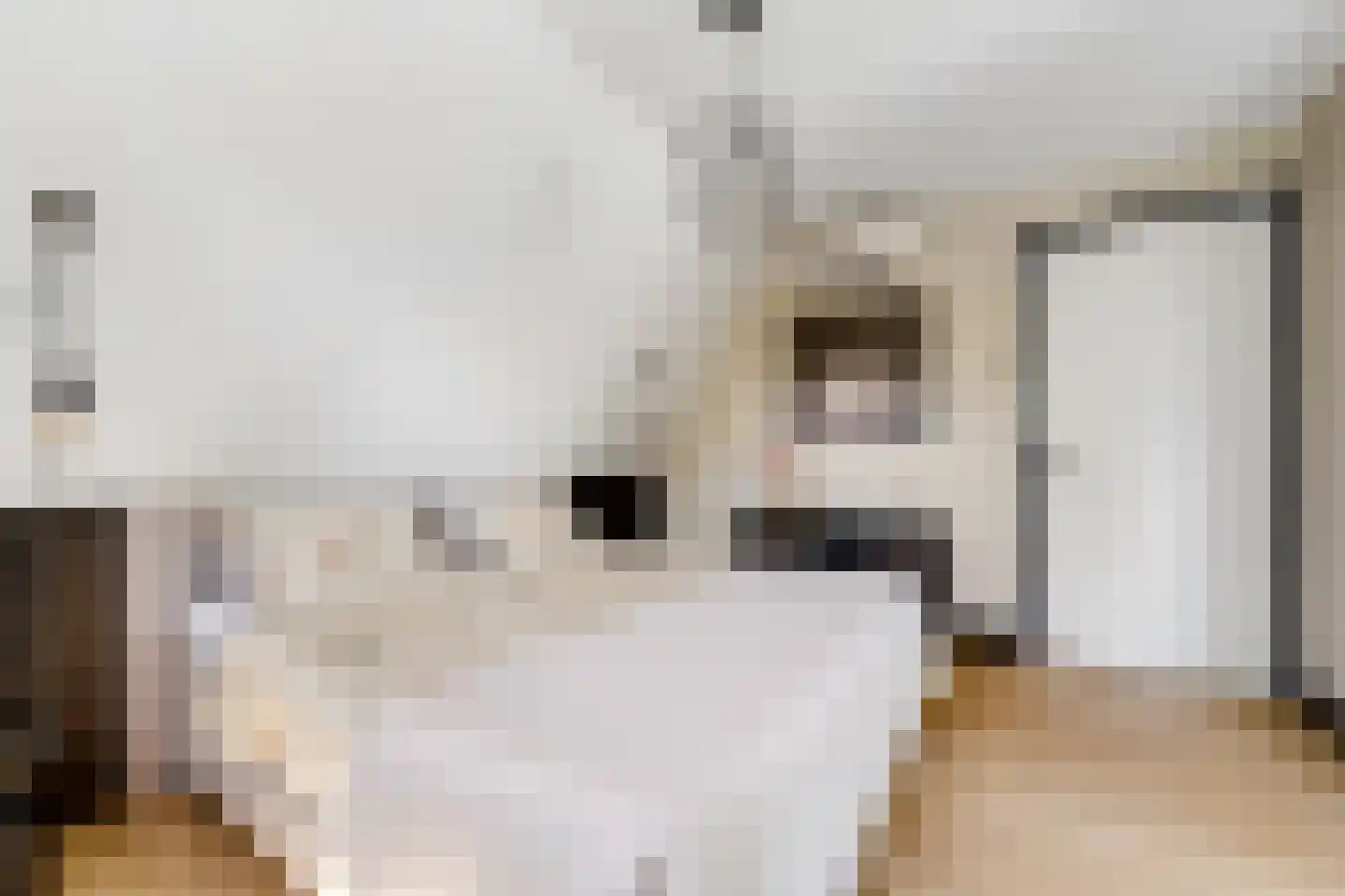 Van Aeswijnstraat 15 Gramsbergen thumbnail 34