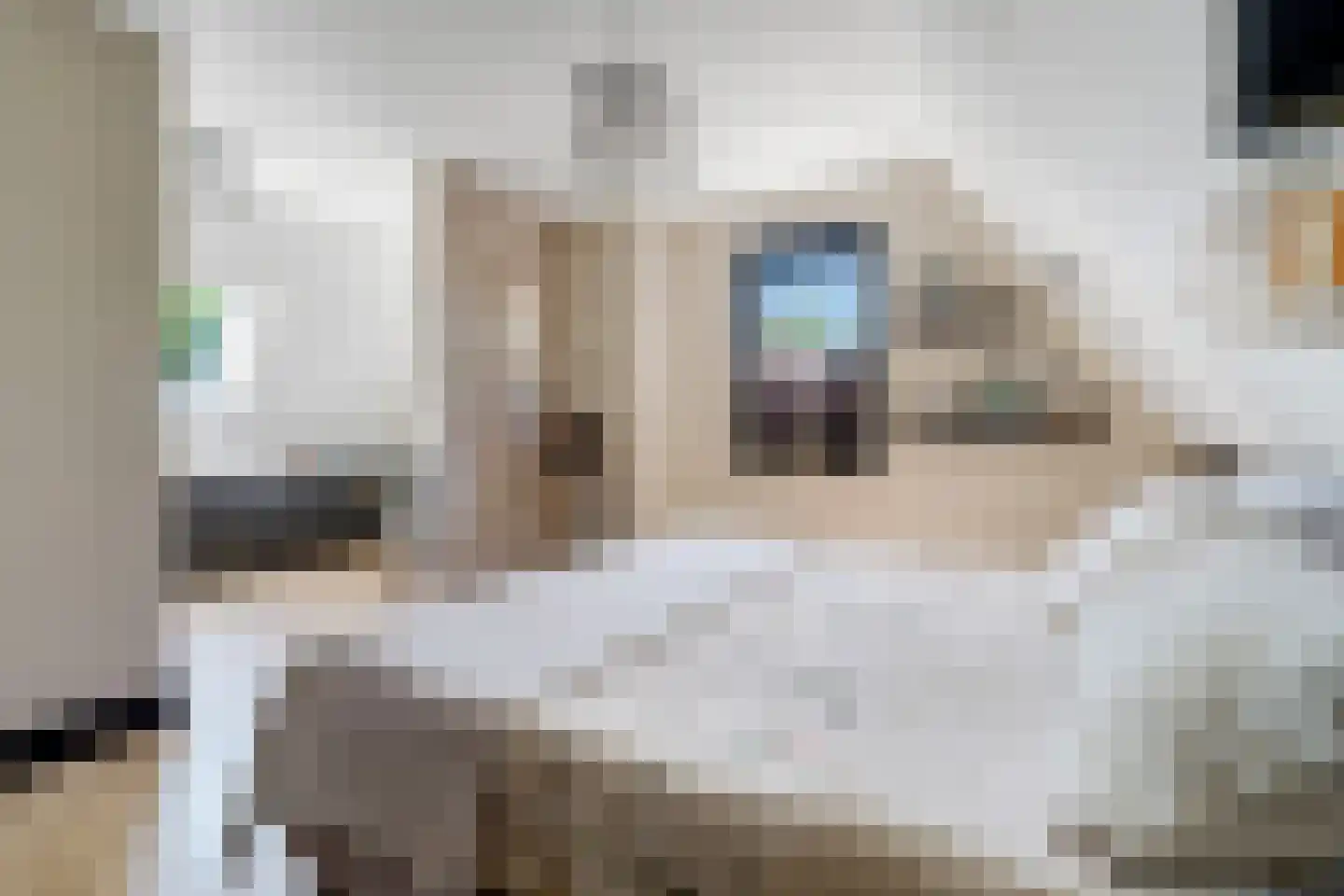 Van Aeswijnstraat 15 Gramsbergen thumbnail 35