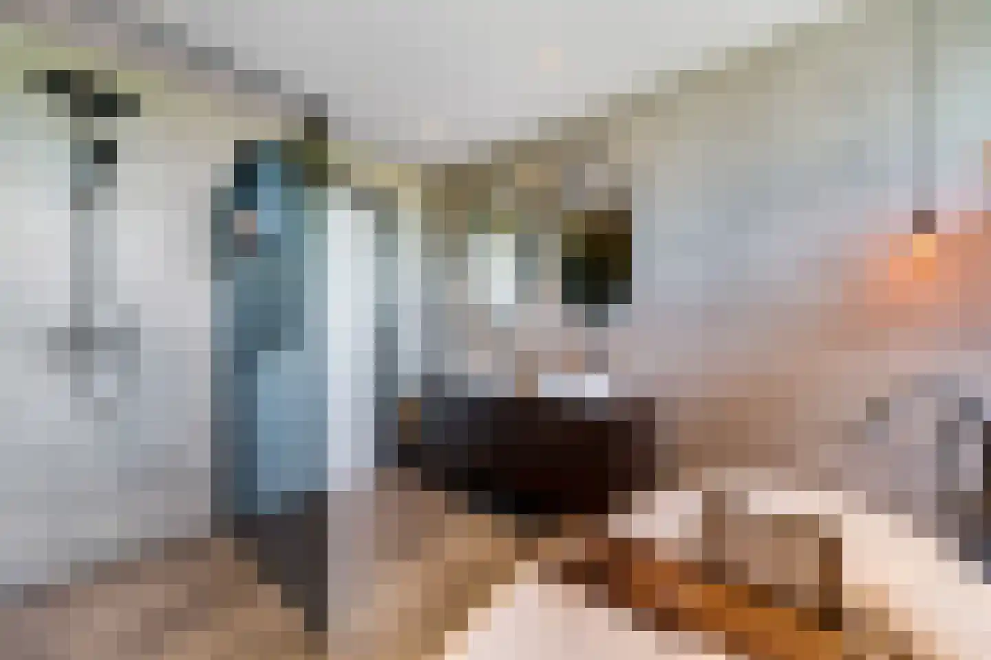 Van Aeswijnstraat 15 Gramsbergen thumbnail 38